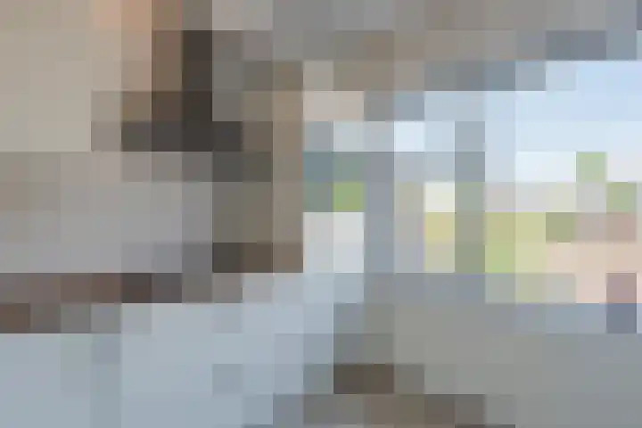 Hoge Rijndijk 60 Nieuwerbrug aan den Rijn thumbnail 13