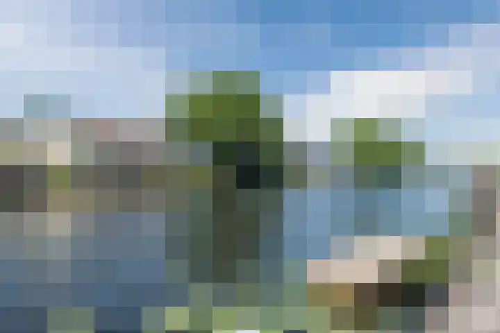Hoge Rijndijk 60 Nieuwerbrug aan den Rijn thumbnail 29