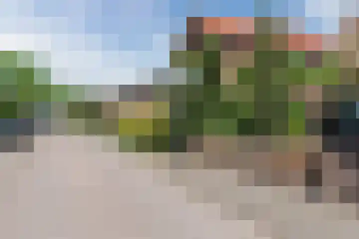 Hoge Rijndijk 60 Nieuwerbrug aan den Rijn thumbnail 42