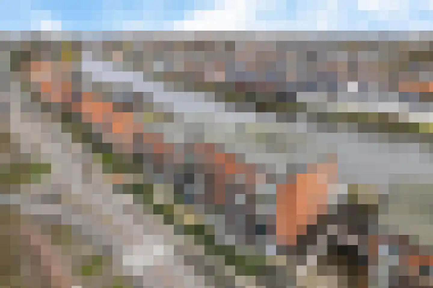 Hoge Rijndijk 67 M Zoeterwoude thumbnail 7
