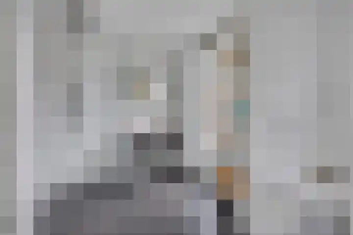 Hoge Rijndijk 8 c Nieuwerbrug aan den Rijn thumbnail 31