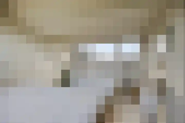 Hoge Rijndijk 8 c Nieuwerbrug aan den Rijn thumbnail 37