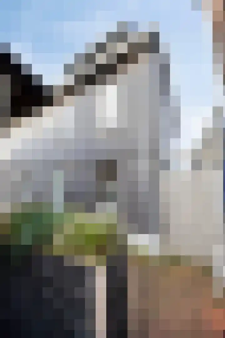 Hoge Rijndijk 8 c Nieuwerbrug aan den Rijn thumbnail 5
