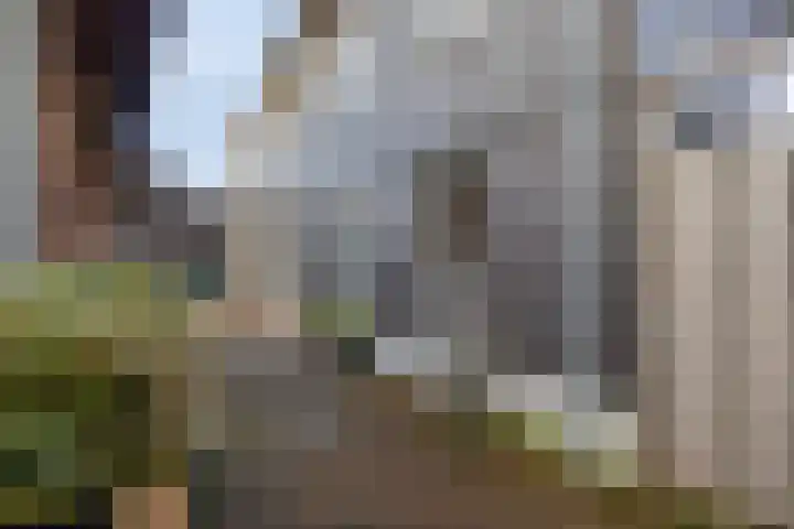 Hoge Rijndijk 8 c Nieuwerbrug aan den Rijn thumbnail 6
