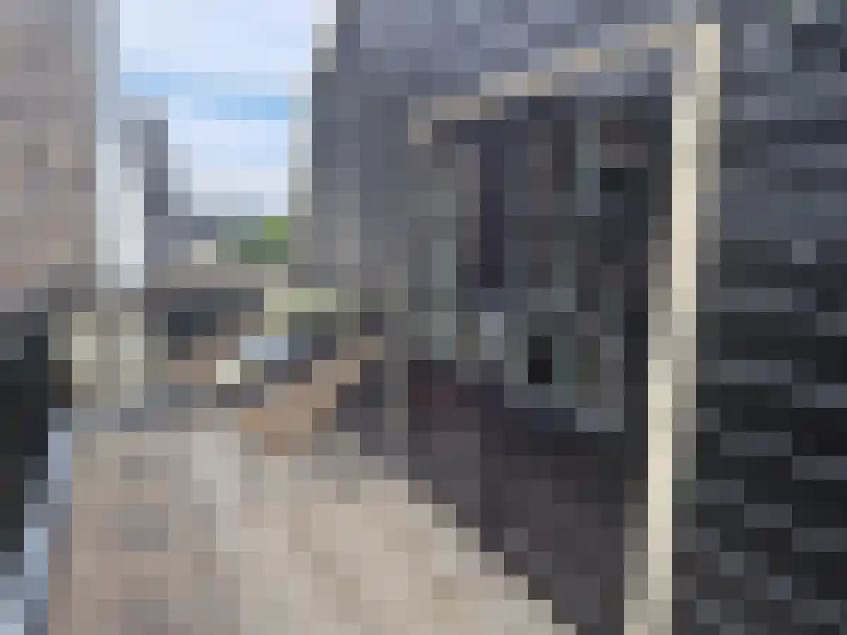 Hoge Rijndijk 85 Zoeterwoude