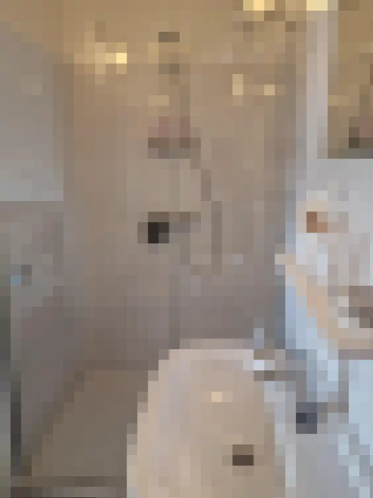 Hoge Rijndijk 85 Zoeterwoude thumbnail 4
