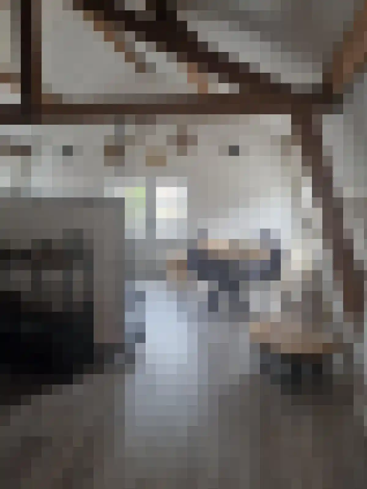 Hoge Rijndijk 85 Zoeterwoude thumbnail 6
