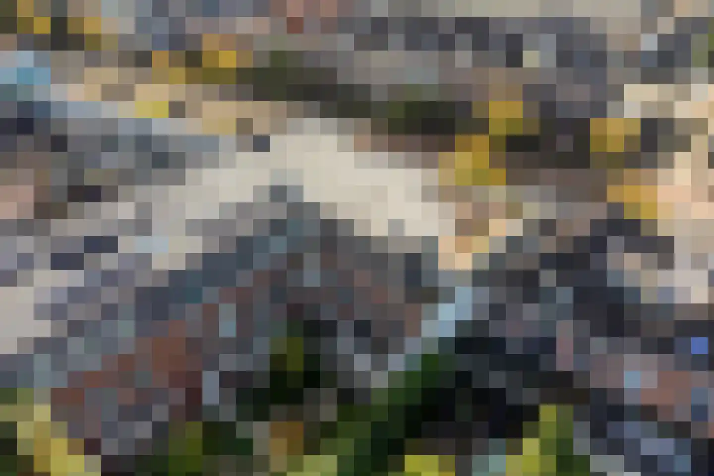 Hoge Rijndijk 88 E Leiden thumbnail 43