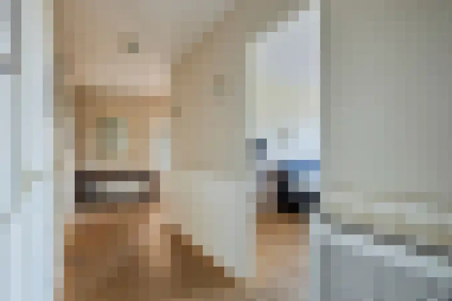 Hoge Rijndijk 88 E Leiden thumbnail 8