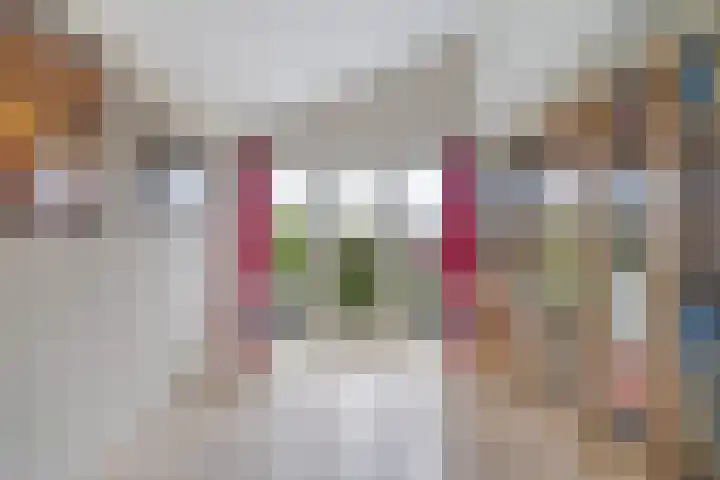 Hoge Rijndijk 91 Zoeterwoude thumbnail 11