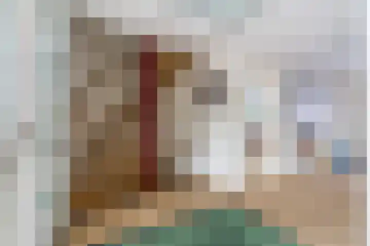 Hoge Rijndijk 91 Zoeterwoude thumbnail 13