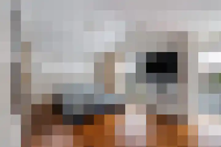 Hoge Rijndijk 91 Zoeterwoude thumbnail 14