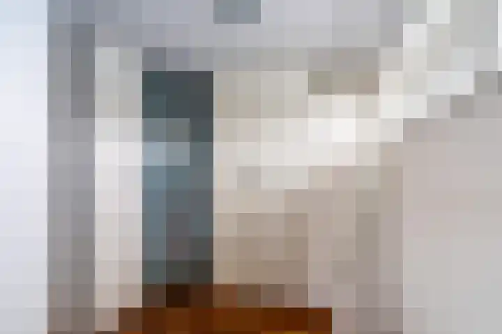 Hoge Rijndijk 91 Zoeterwoude thumbnail 16