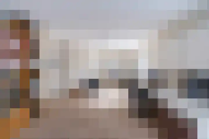 Hoge Rijndijk 91 Zoeterwoude thumbnail 19