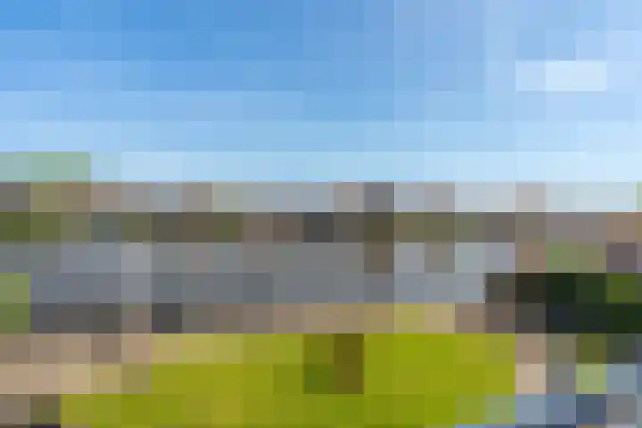 Hoge Rijndijk 91 Zoeterwoude thumbnail 27