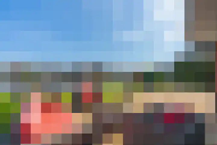 Hoge Rijndijk 91 Zoeterwoude thumbnail 28