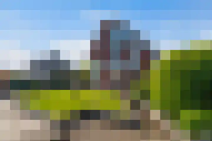 Hoge Rijndijk 91 Zoeterwoude thumbnail 32