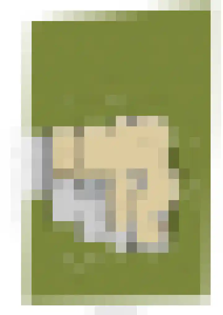 Hoge Rijndijk 91 Zoeterwoude thumbnail 35