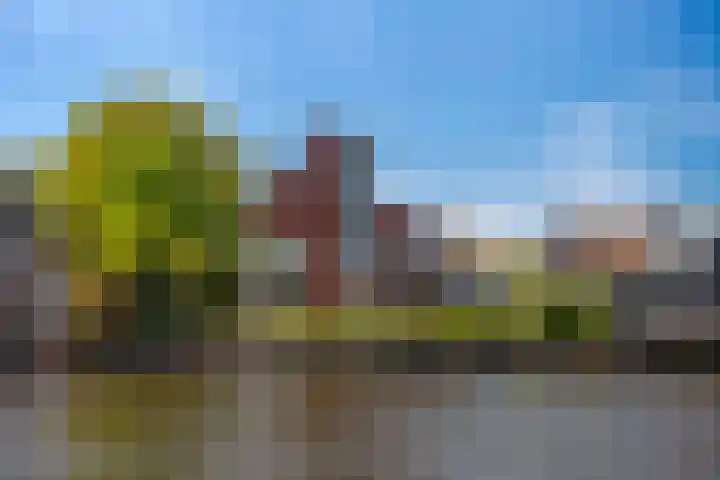 Hoge Rijndijk 91 Zoeterwoude thumbnail 39