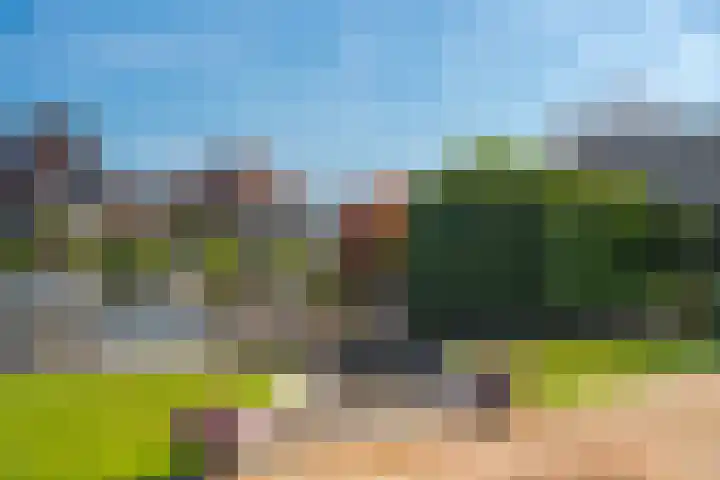 Hoge Rijndijk 91 Zoeterwoude thumbnail 4
