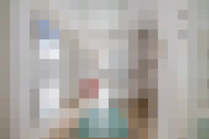 Hoge Rijndijk 91 Zoeterwoude thumbnail 6