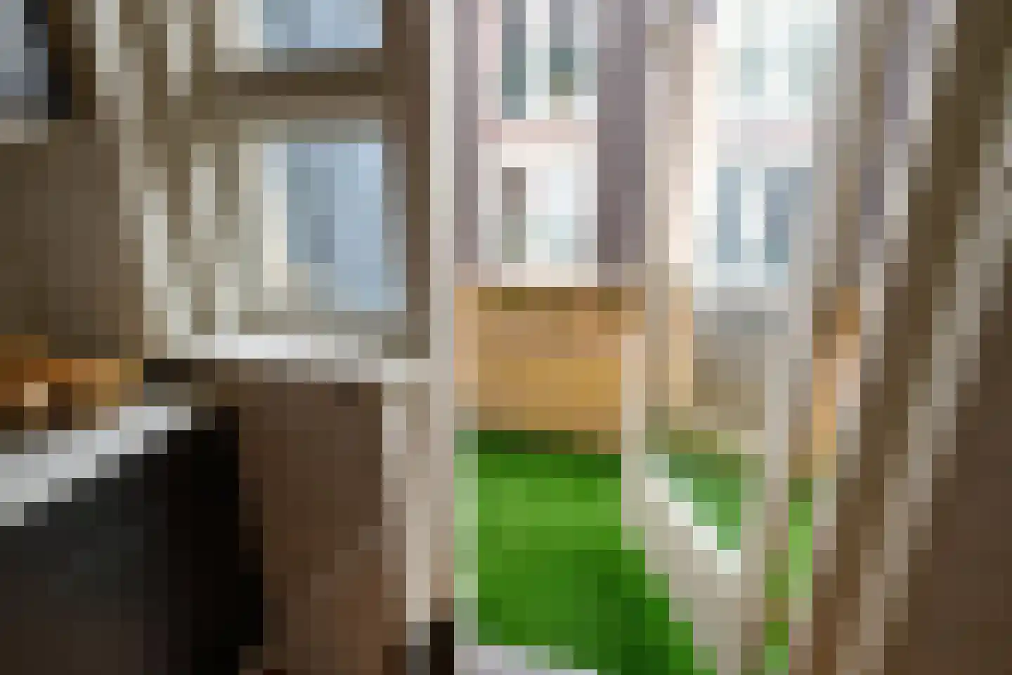 Hoge Rijndijk 94 C 1 Leiden thumbnail 24