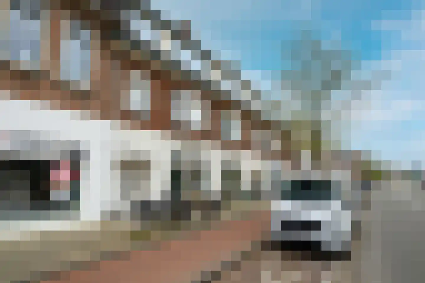 Hoge Rijndijk 94 C 1 Leiden foto 3
