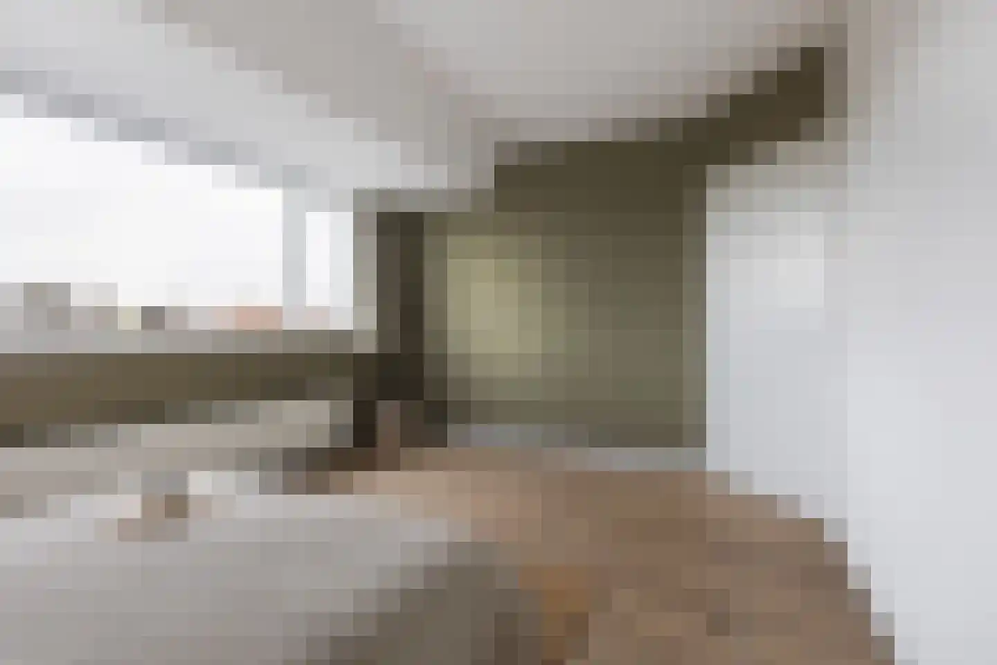 Hoge Rijndijk 94 C 2 Leiden thumbnail 14