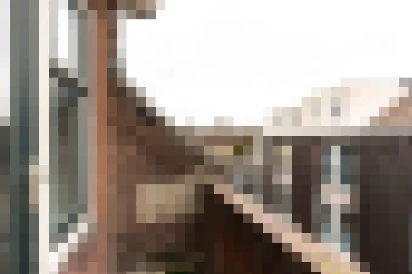 Hoge Rijndijk 94 C 2 Leiden thumbnail 27