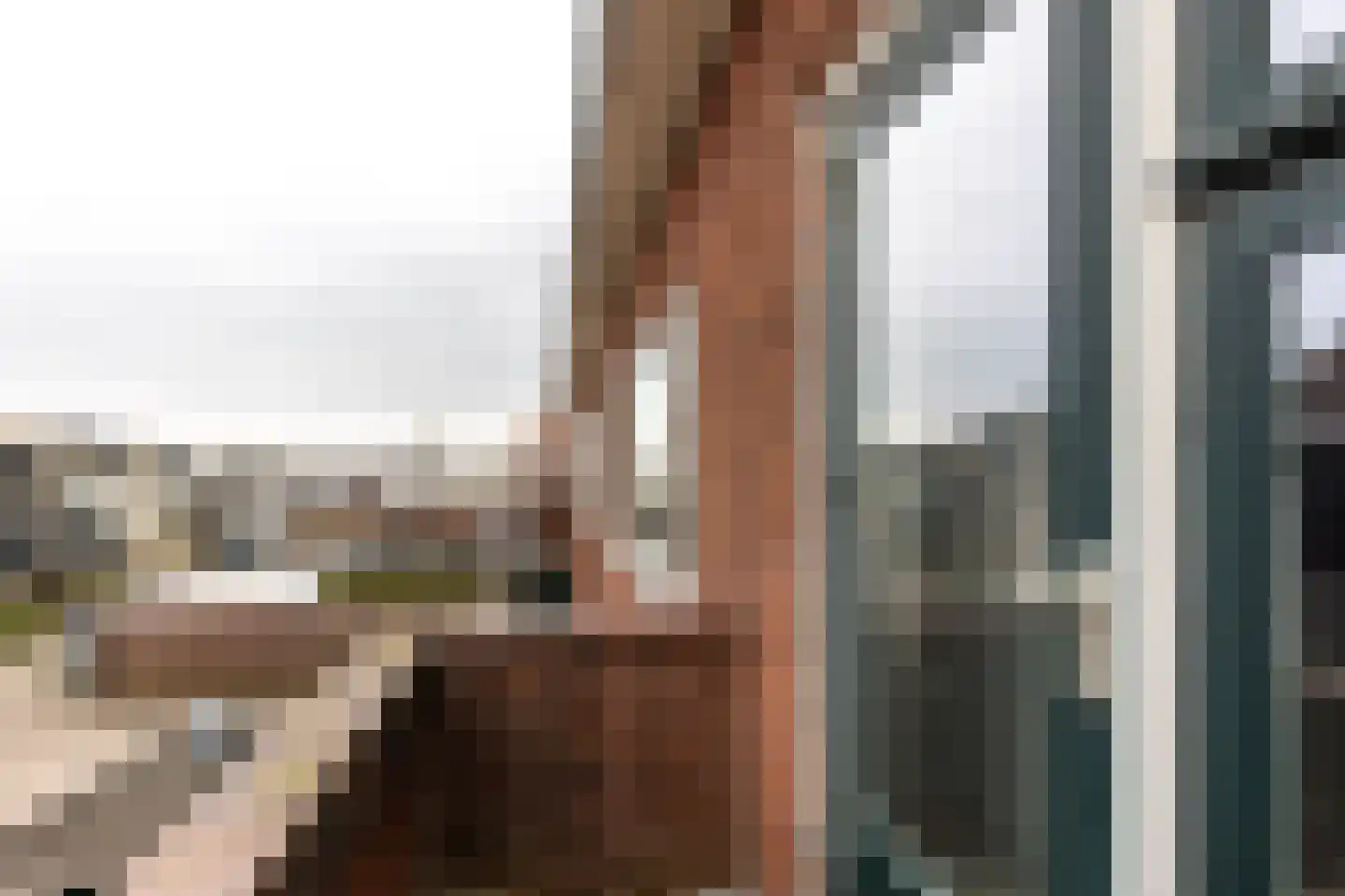 Hoge Rijndijk 94 C 2 Leiden thumbnail 28