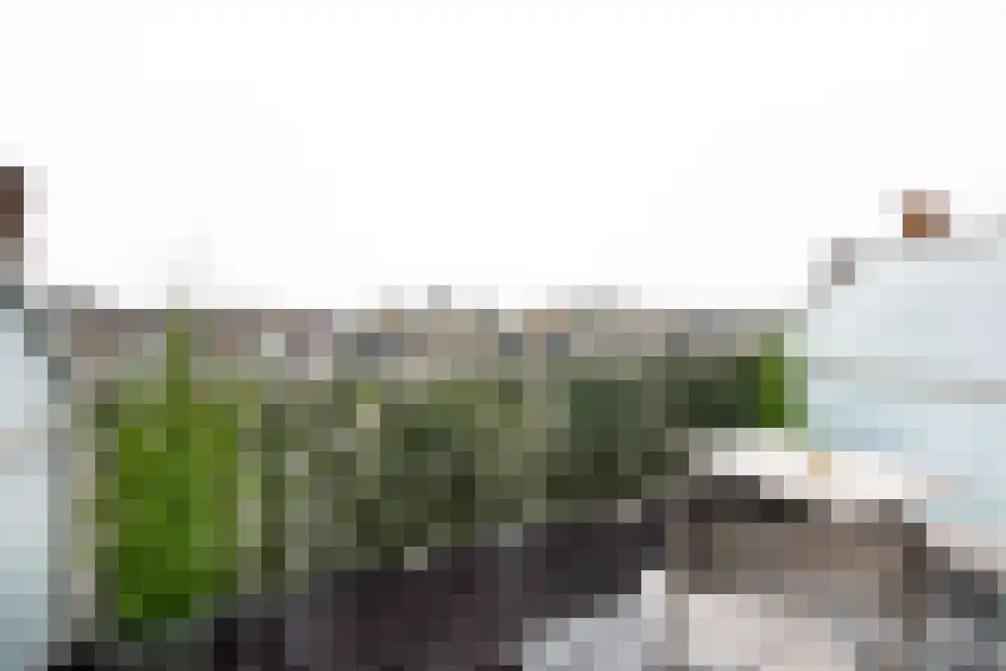 Hoge Rijndijk 94 F 3 Leiden thumbnail 19