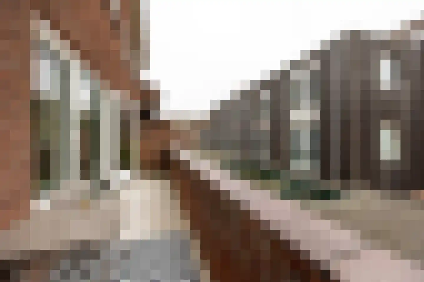 Hoge Rijndijk 94 F Leiden thumbnail 17