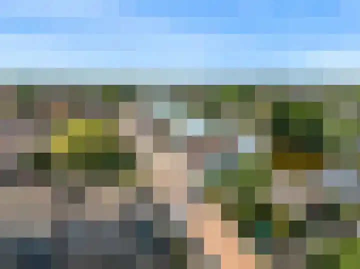 Hoge Rijndijk 95 Nieuwerbrug aan den Rijn thumbnail 42
