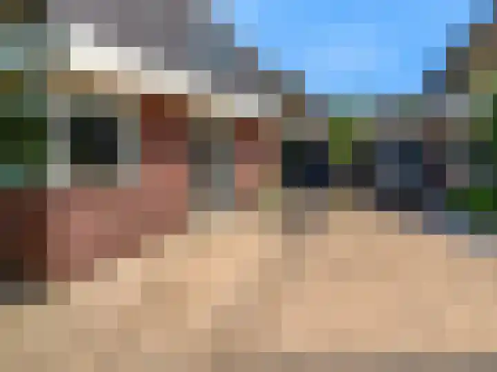 Hoge Rijndijk 95 Nieuwerbrug aan den Rijn thumbnail 5