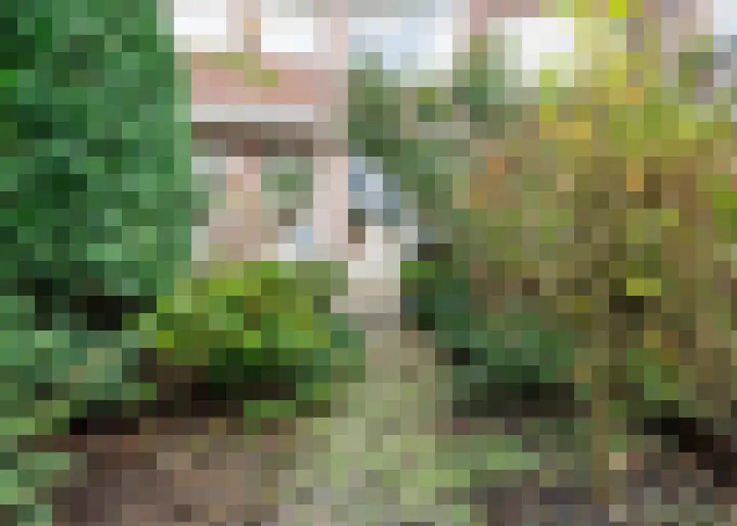 Hoge Rijndijk 97 Leiden thumbnail 17
