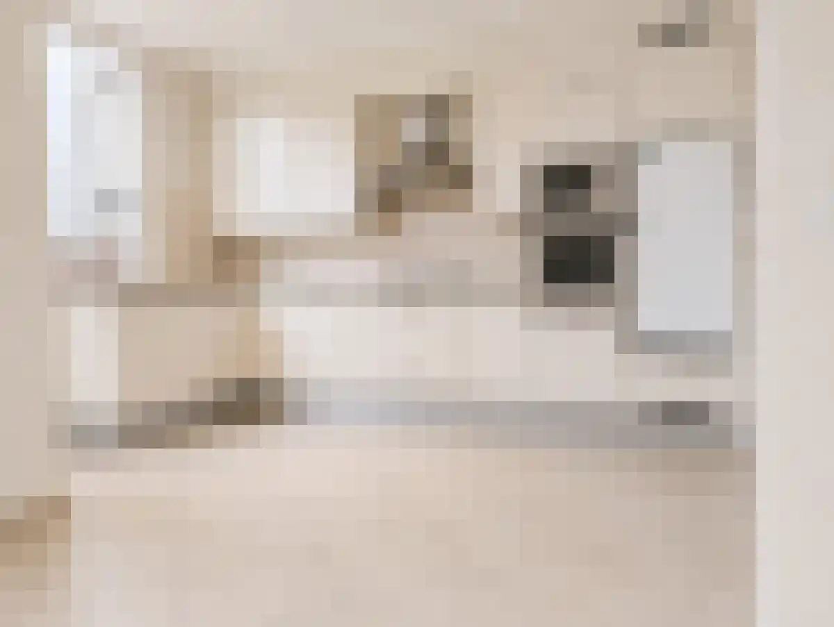 Hoge Rijndijk Zoeterwoude thumbnail 4