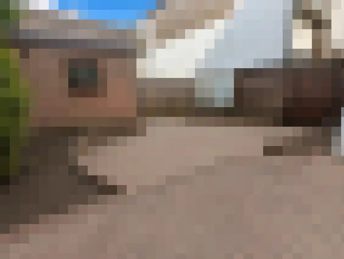 Hoge Rijndijk Zoeterwoude thumbnail 5