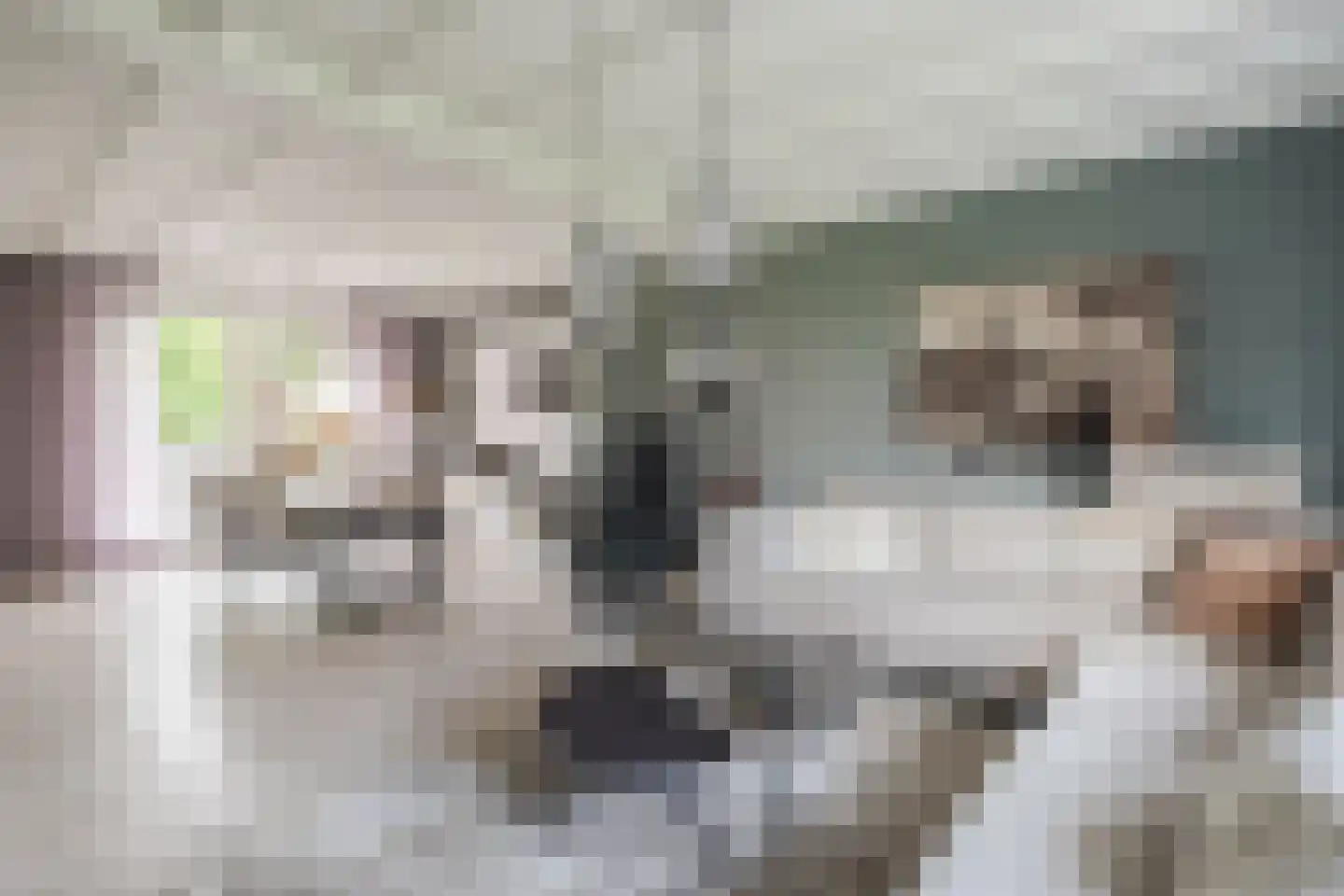 Hoge Rijt 33 Luyksgestel thumbnail 10