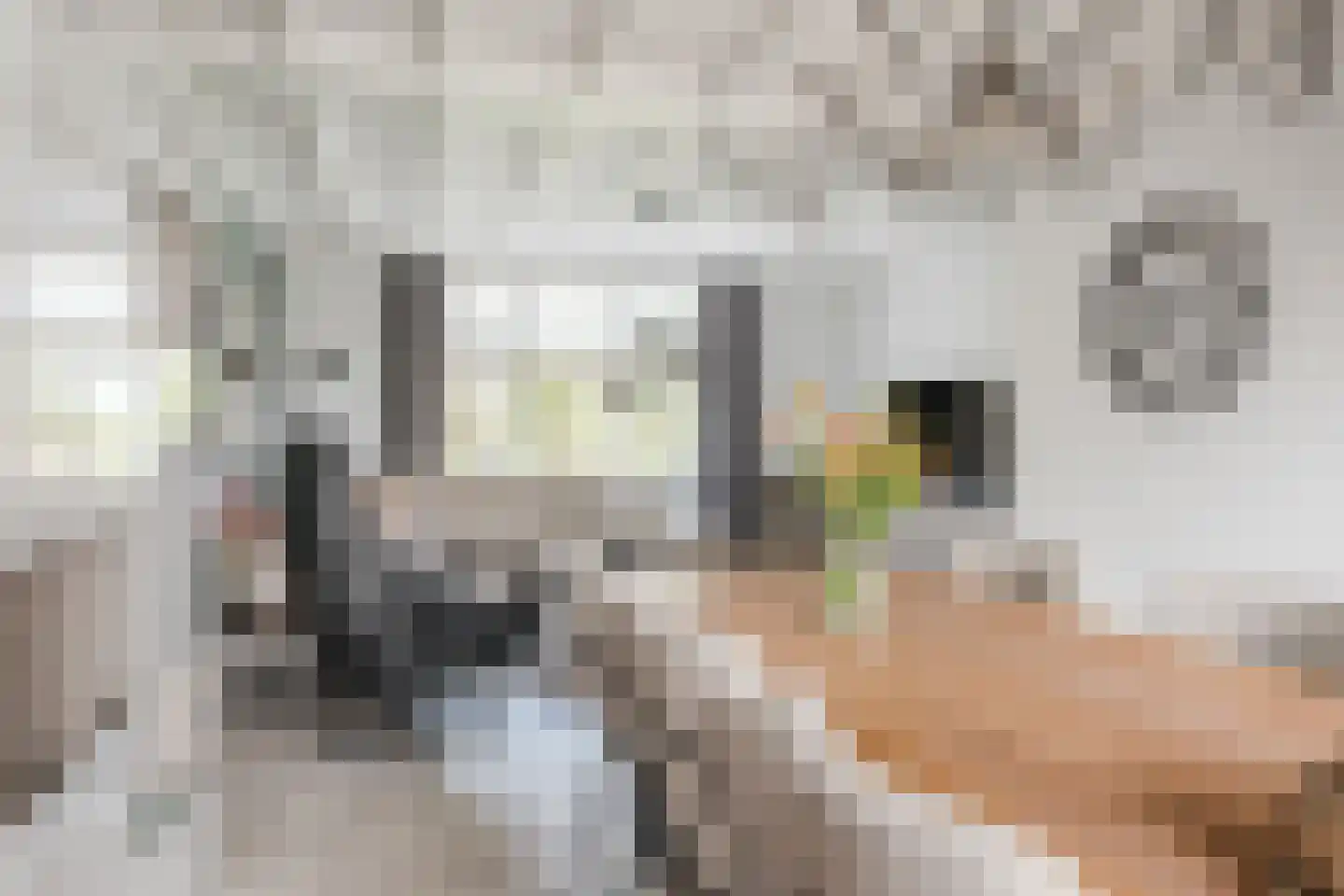 Hoge Rijt 33 Luyksgestel thumbnail 13