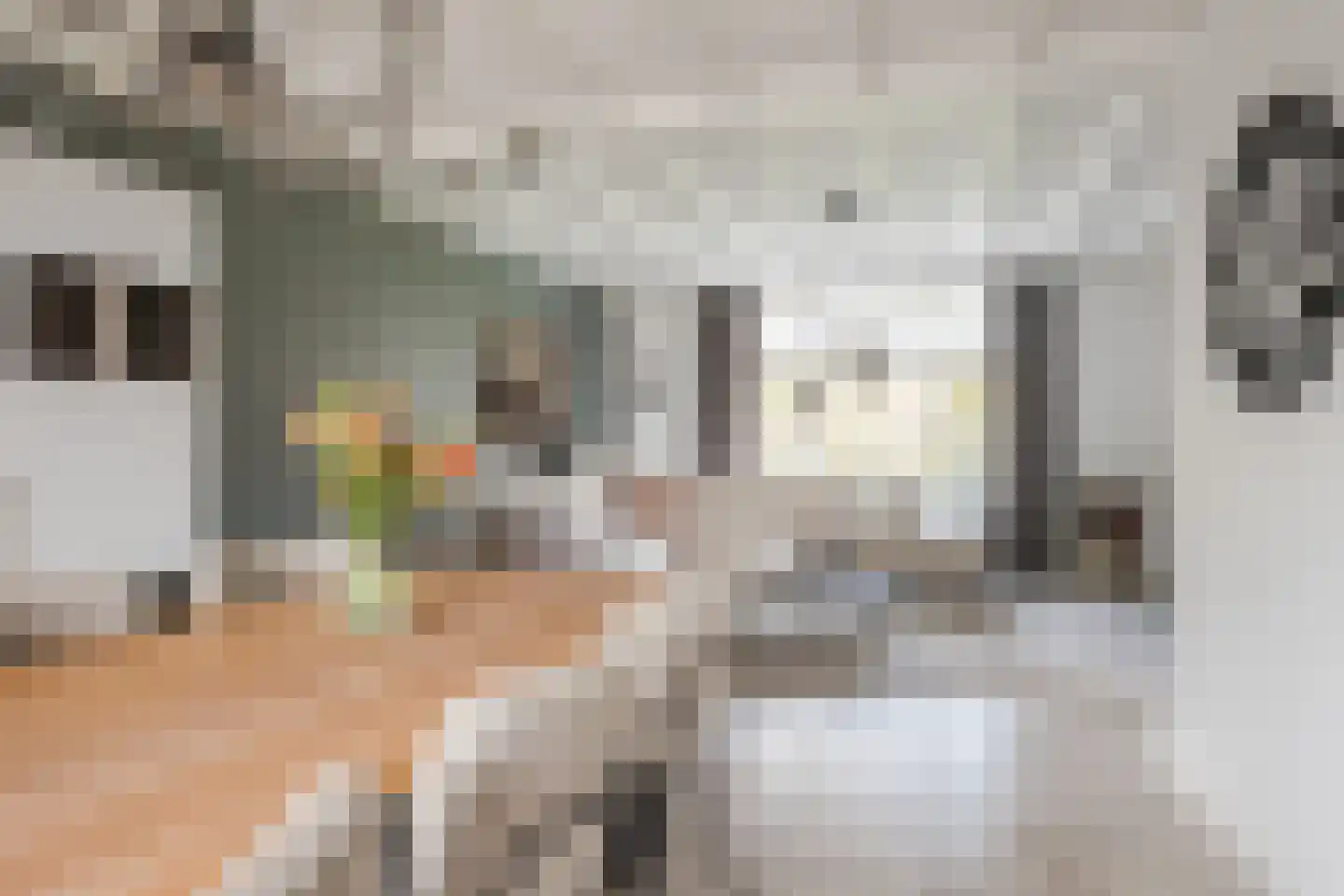 Hoge Rijt 33 Luyksgestel thumbnail 14