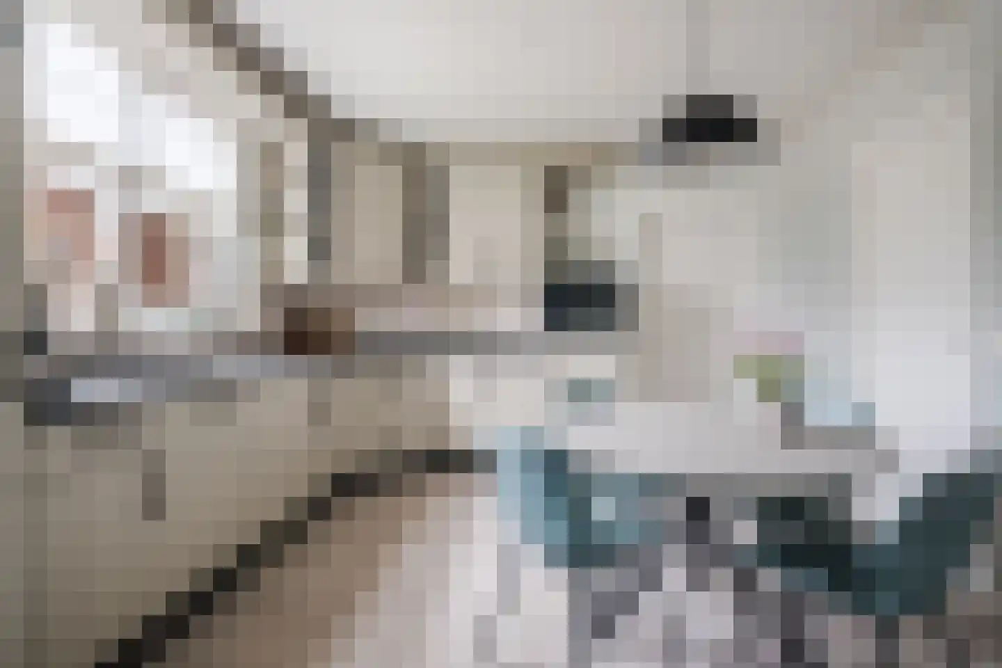 Hoge Rijt 33 Luyksgestel thumbnail 18