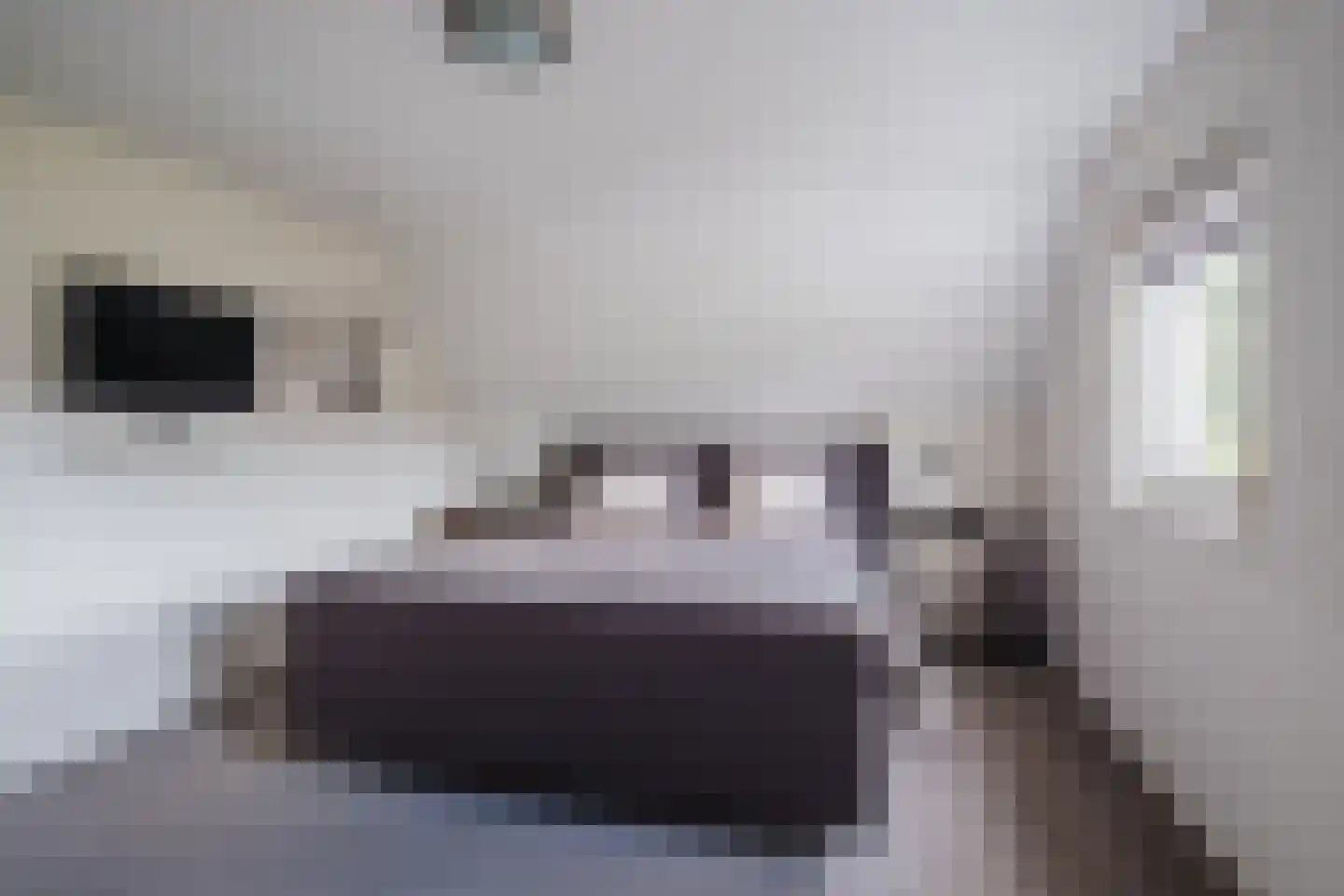 Hoge Rijt 33 Luyksgestel thumbnail 24