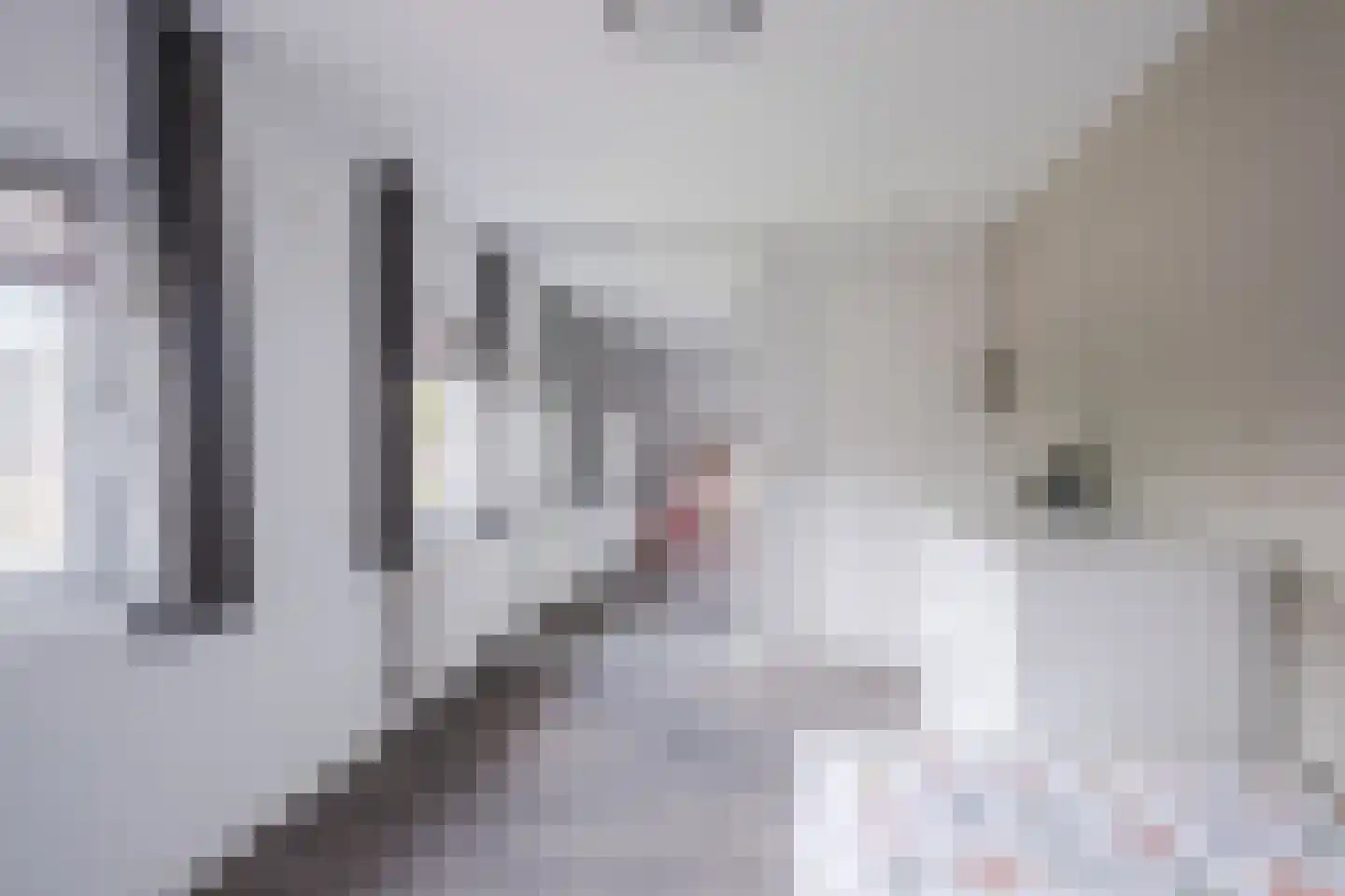 Hoge Rijt 33 Luyksgestel thumbnail 29