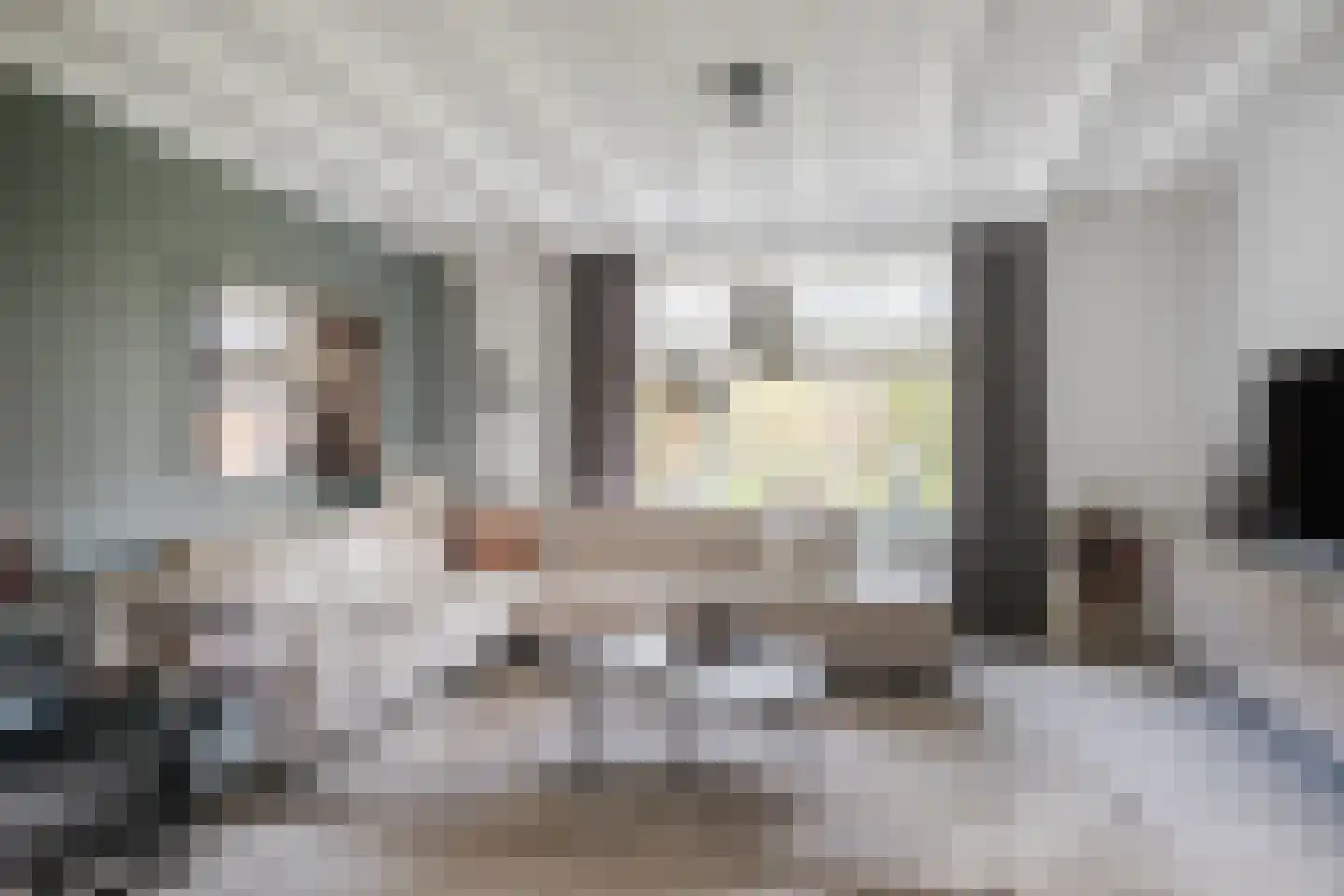 Hoge Rijt 33 Luyksgestel foto 3