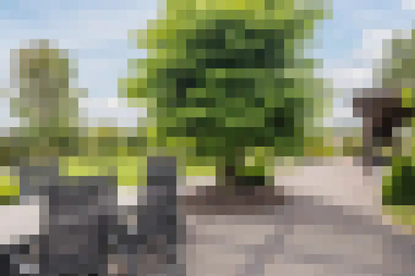 Hoge Rijt 33 Luyksgestel thumbnail 35