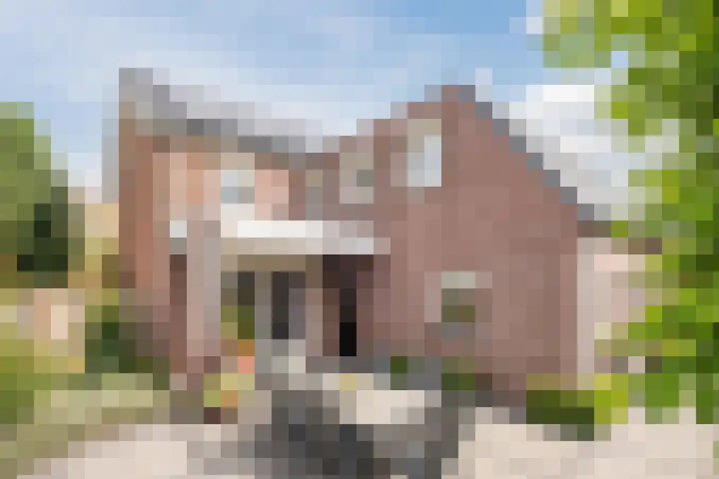 Hoge Rijt 33 Luyksgestel thumbnail 36