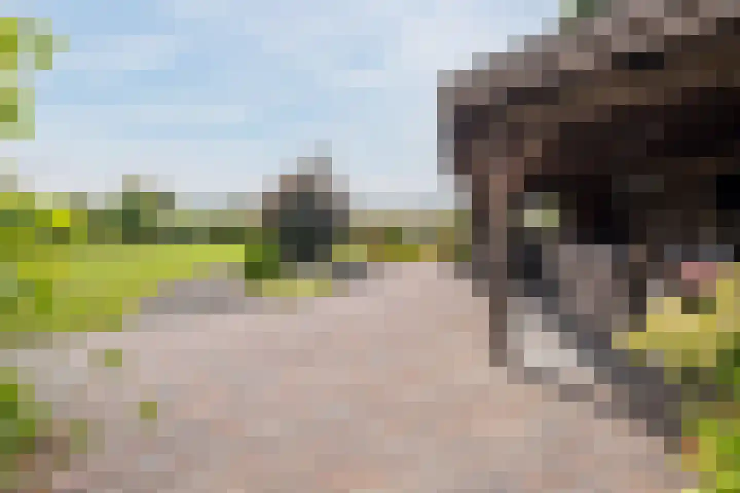 Hoge Rijt 33 Luyksgestel thumbnail 37
