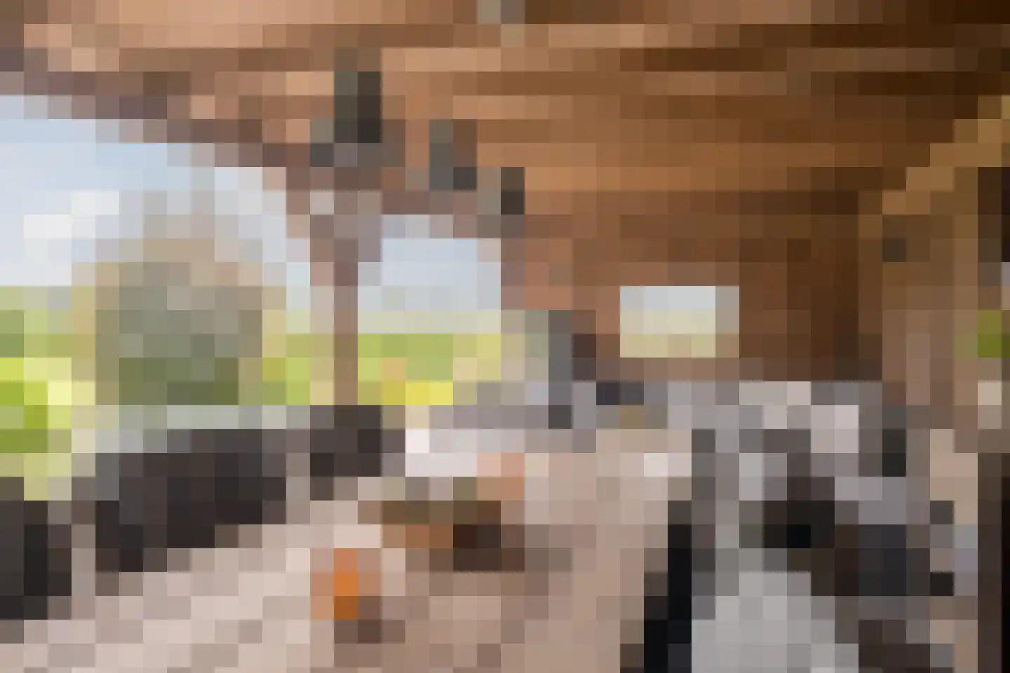 Hoge Rijt 33 Luyksgestel thumbnail 39