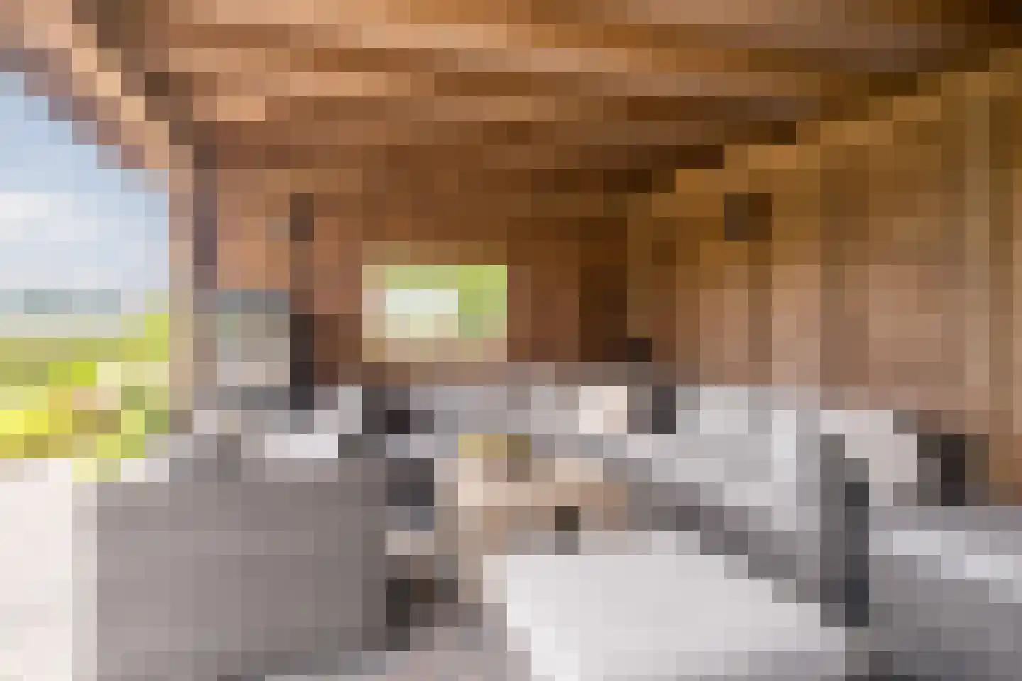 Hoge Rijt 33 Luyksgestel thumbnail 40