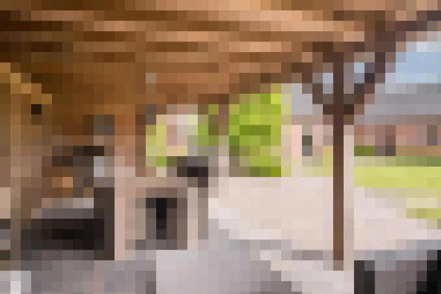 Hoge Rijt 33 Luyksgestel thumbnail 41